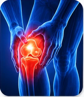 Knee Pain